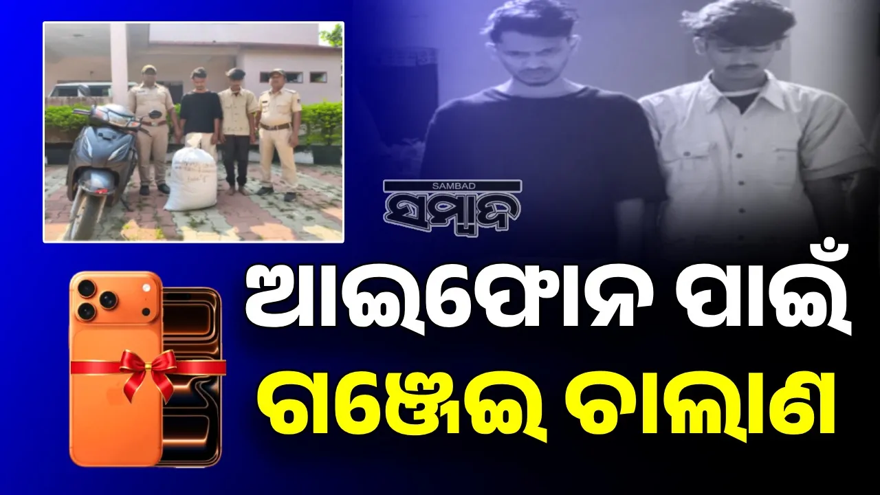  Selling marijuana to gift iPhone to girlfriend Photograph: (Sambad.in) 