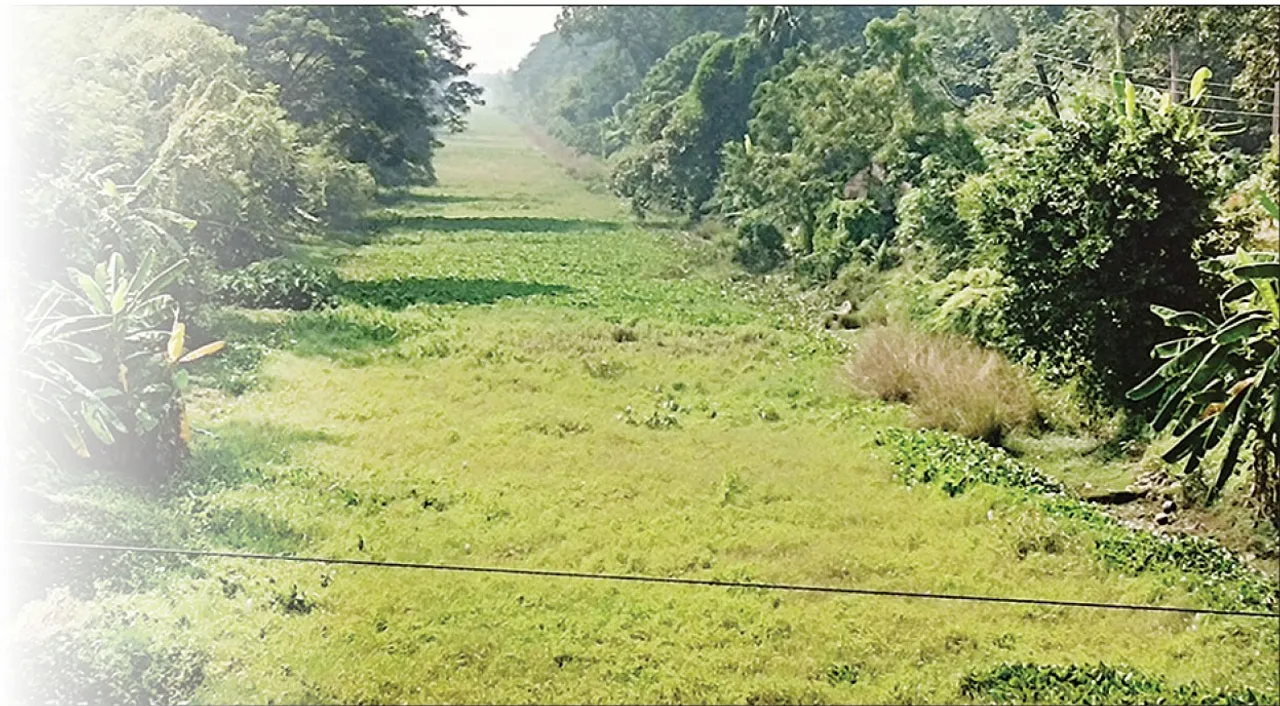  Odisha Coast Canal: ପୁନରୁଦ୍ଧାର ଅପେକ୍ଷାରେ ଓଡ଼ିଶା କୋଷ୍ଟ୍‌ କେନାଲ୍‌: ଶହେ କିମିରୁ ଊର୍ଦ୍ଧ୍ବ  ଶଯ୍ୟା ଦଳଭର୍ତ୍ତି