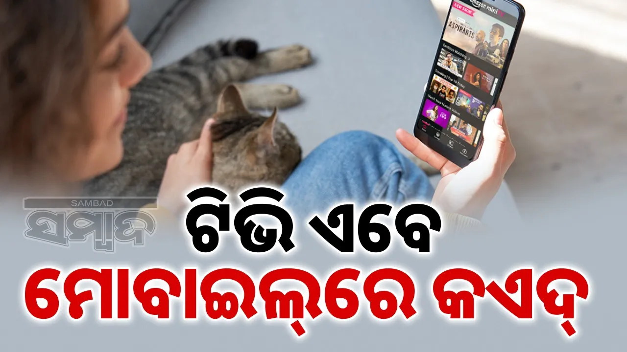  tv is now confined to mobile phones 