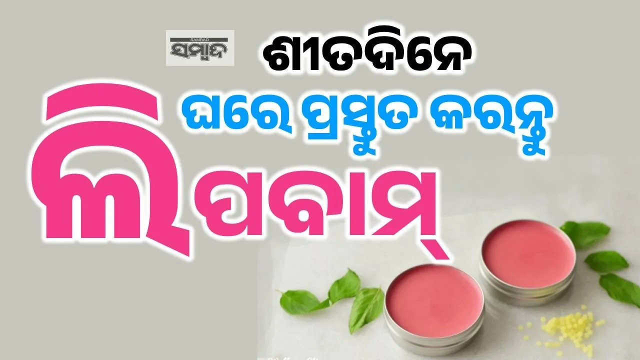  lip balm Photograph: (sambad.in) 