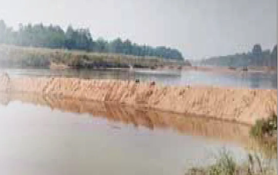  Sand mafia: ବୁଢ଼ାବଳଙ୍ଗରେ ବନ୍ଧ ବାନ୍ଧିଲେ ବାଲିମାଫିଆ: ଲୁଟୁଛନ୍ତି ବାଲି, ତଳମୁଣ୍ଡକୁ ଯାଉନି ପାଣି, ମାମଲା କରି ଚୁପ୍‌ ବସିଛି ଖଣି ବିଭାଗ