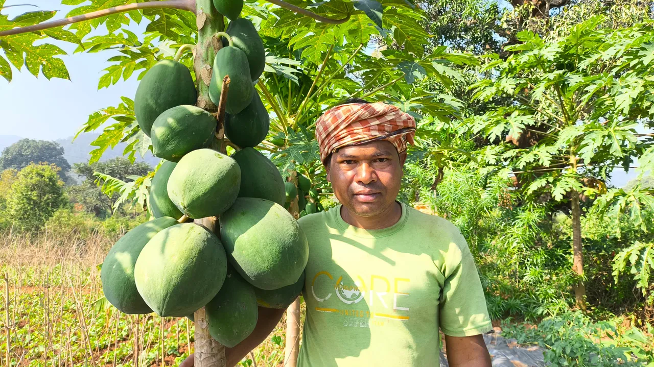  Farmer of Kandhamal. Photograph: (sambad.in) 
