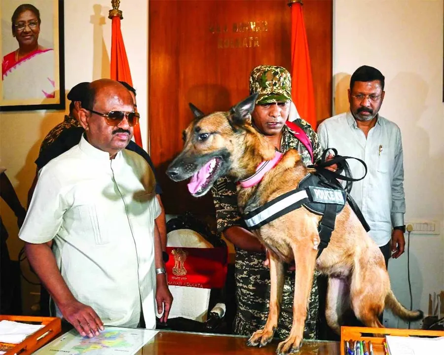  Photograph: (https://www.dailypioneer.com/) 