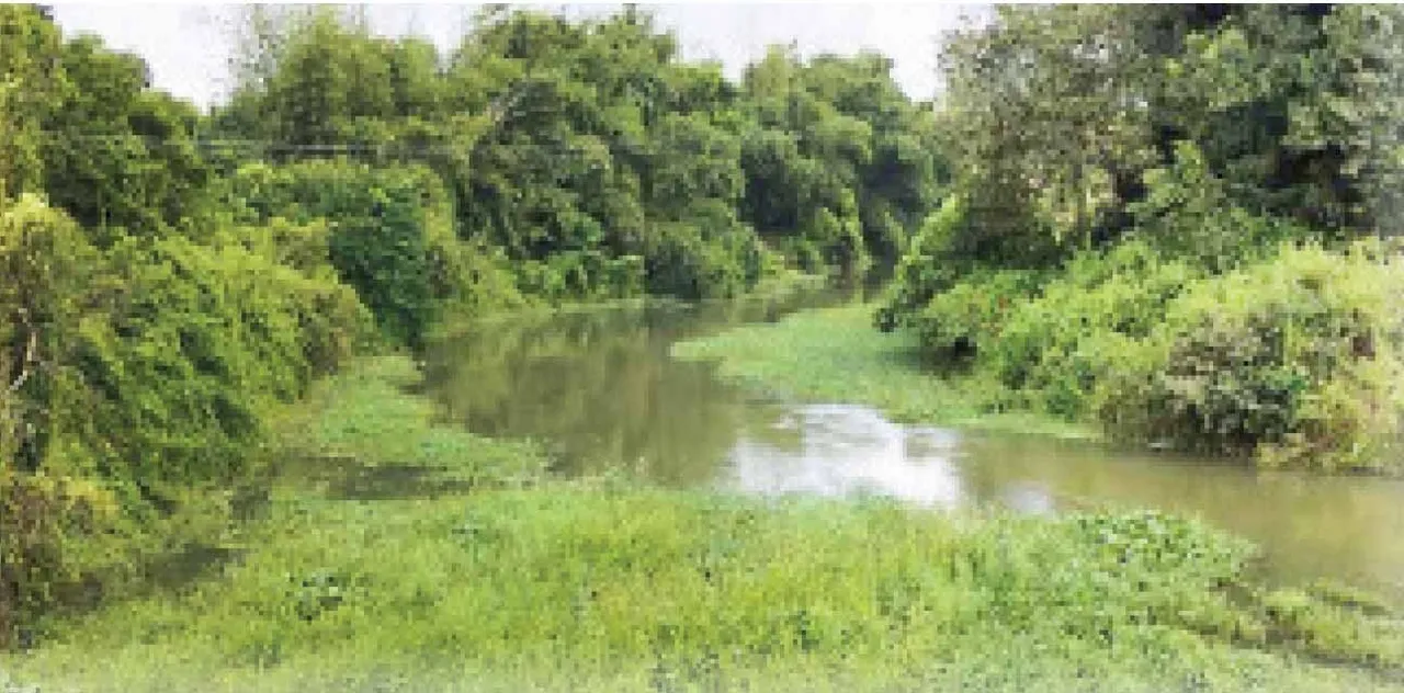  Prachi buried: ପୋତି ହୋଇଚାଲିଛି ପ୍ରାଚୀ