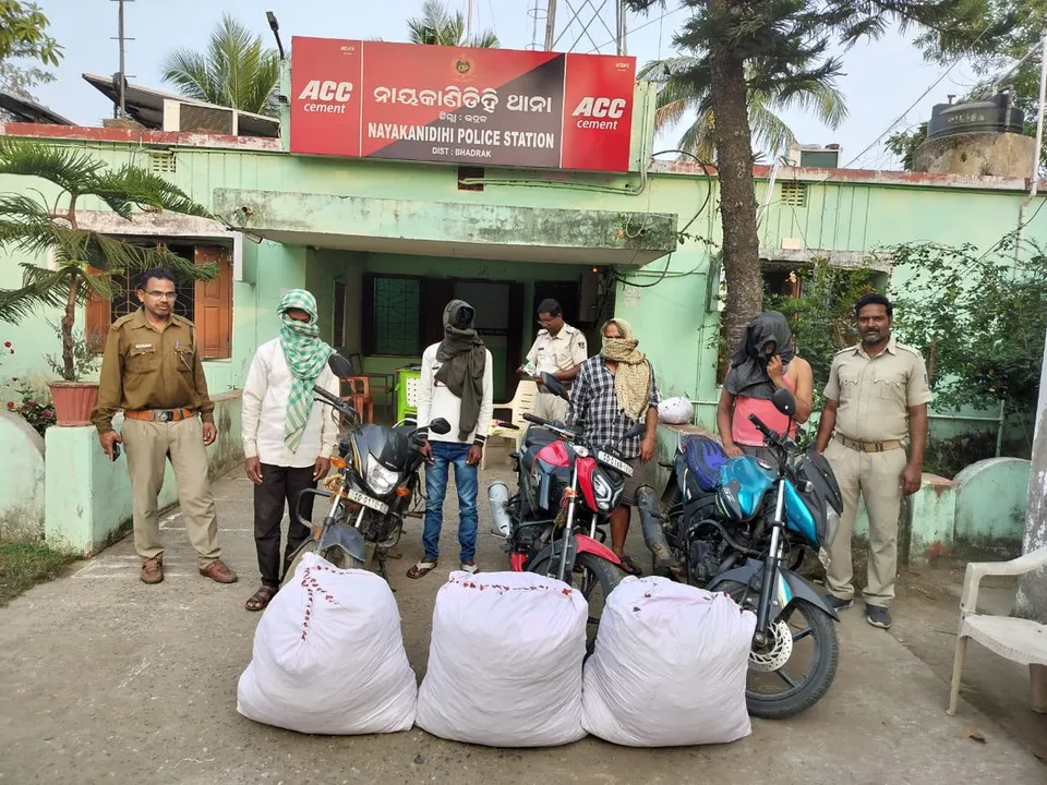  Dacoity at nayakanidihi ps area Photograph: (sambad.in) 