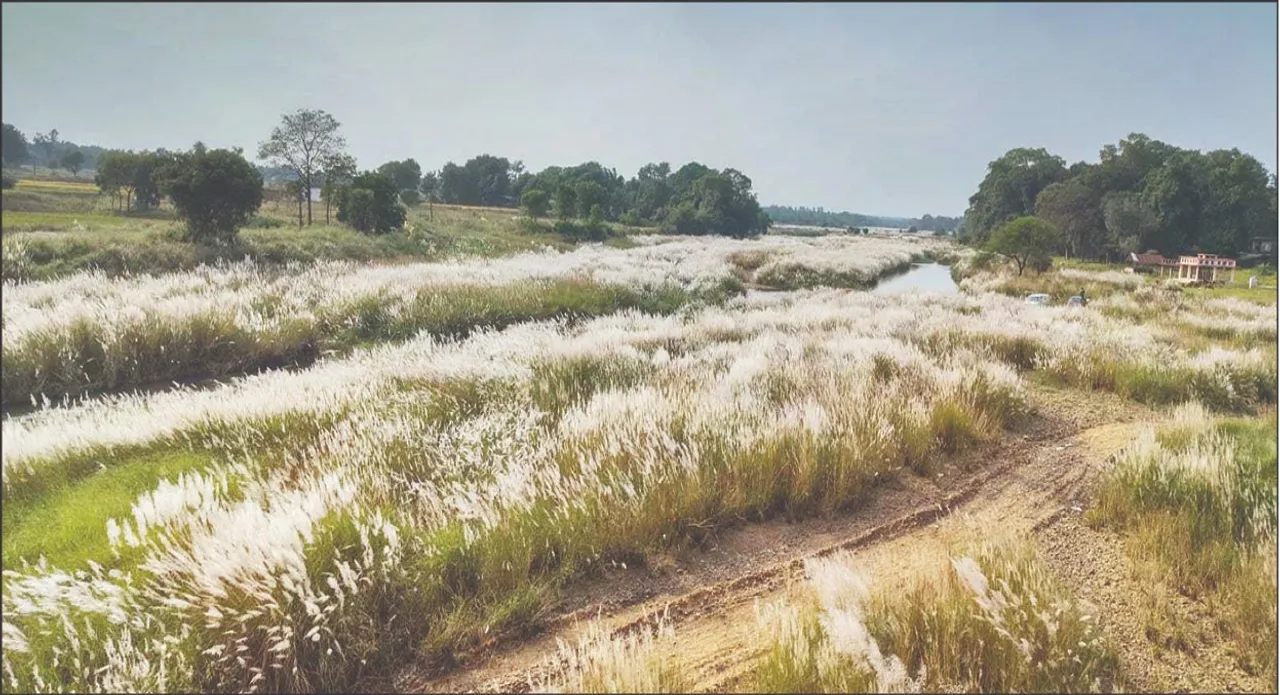  50 villages affected: ୫୦ ଖଣ୍ଡ ଗାଁର ଜୀବନଜୀବିକା ପ୍ରଭାବିତ: ମୃତ୍ୟୁକୋଳରେ ‘ଇଚ୍ଛା’