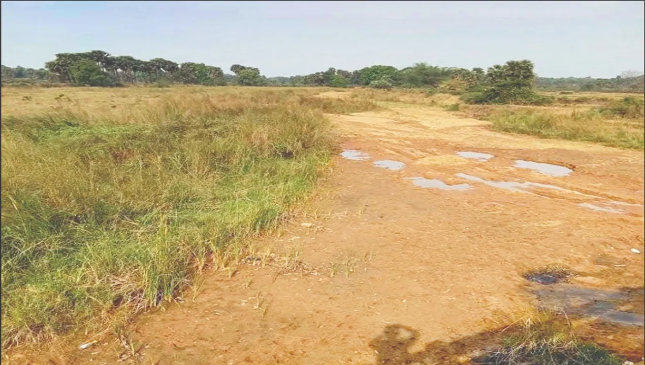  River in danger: ବିପଦରେ ନଈ: ମରିମରି ଯାଉଛି ଡେମ୍ପାନାଳ, ବର୍ଷର ୧୦ ମାସ ଶୁଖିଲା, ଚାଷୀ ନିରାଶ