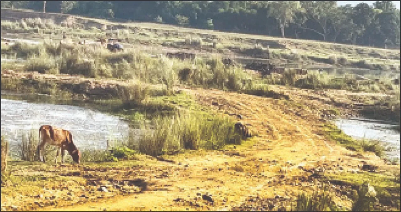  The sand mafia: ସୋନନଦୀ‌ ପେଟରେ ରାସ୍ତା କରିଛନ୍ତି ବାଲିମାଫିଆ
