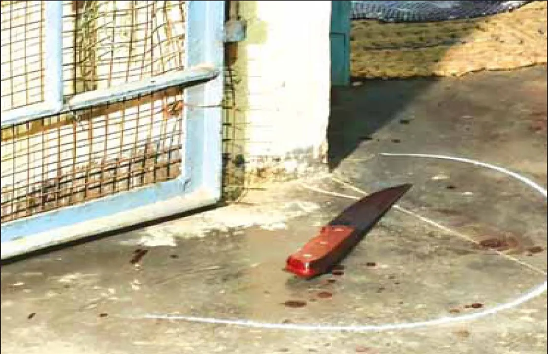  Murder case: ବାପା ଓ ସାବତ ମା’ଙ୍କୁ ଛୁରି ଭୁସି ହତ୍ୟା