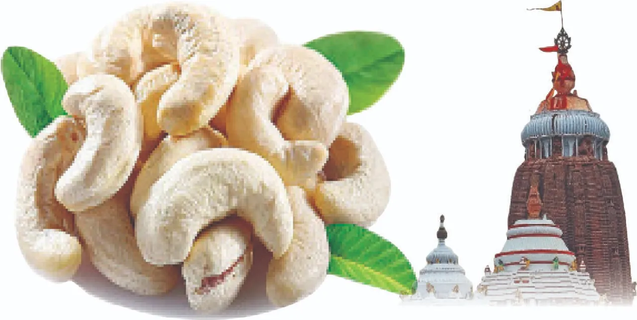  prasad tradition: ଭୋଗ ପରମ୍ପରା: ଶ୍ରୀମନ୍ଦିରରେ କାଜୁ ମନା