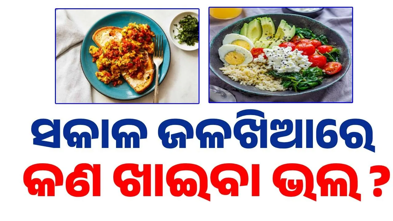  Breakfast Photograph: (sambad.in) 