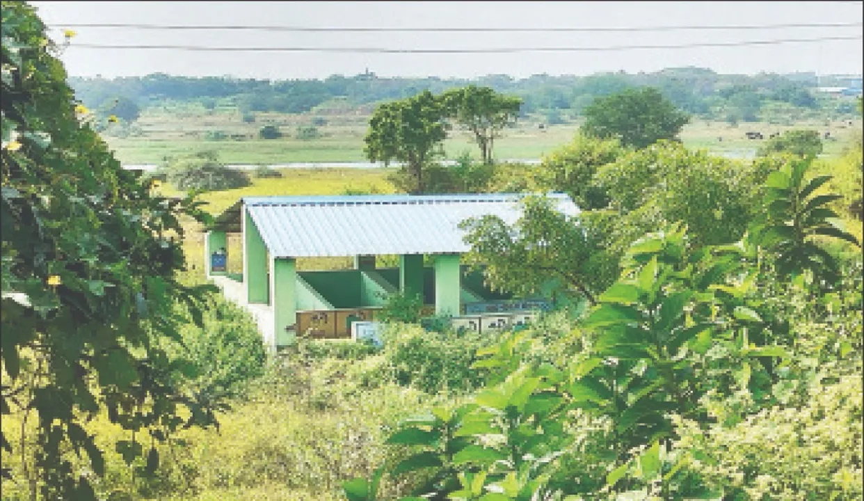  The biological disaster: କାମରେ ଲାଗୁନି ଜୈବ ବିଘଟନ ଗୃହ: ଖତ ହେଲାଣି ଅଳିଆବୁହା ଟ୍ରଲି