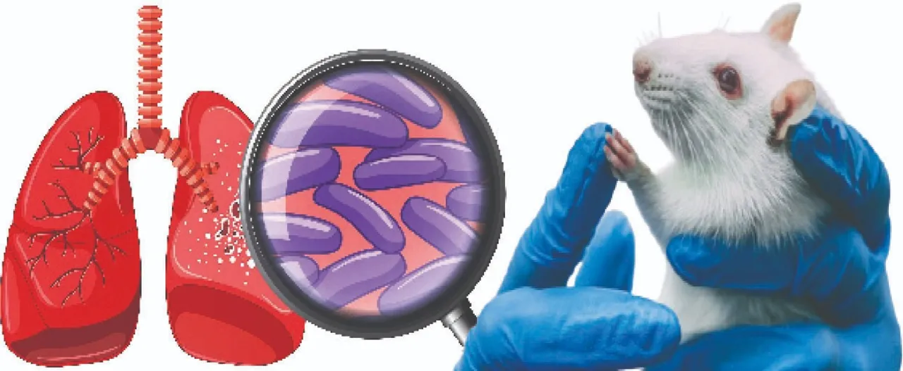  Success for ILS, IIT Bhubaneswar: ଆଇଏଲ୍‌ଏସ୍‌, ଆଇଆଇଟି ଭୁବନେଶ୍ବରକୁ ସଫଳତା: ଯକ୍ଷ୍ମା ପାଇଁ ଆସିବ ନୂଆ ଟିକା, ମୂଷାଙ୍କଠାରେ ସଫଳ