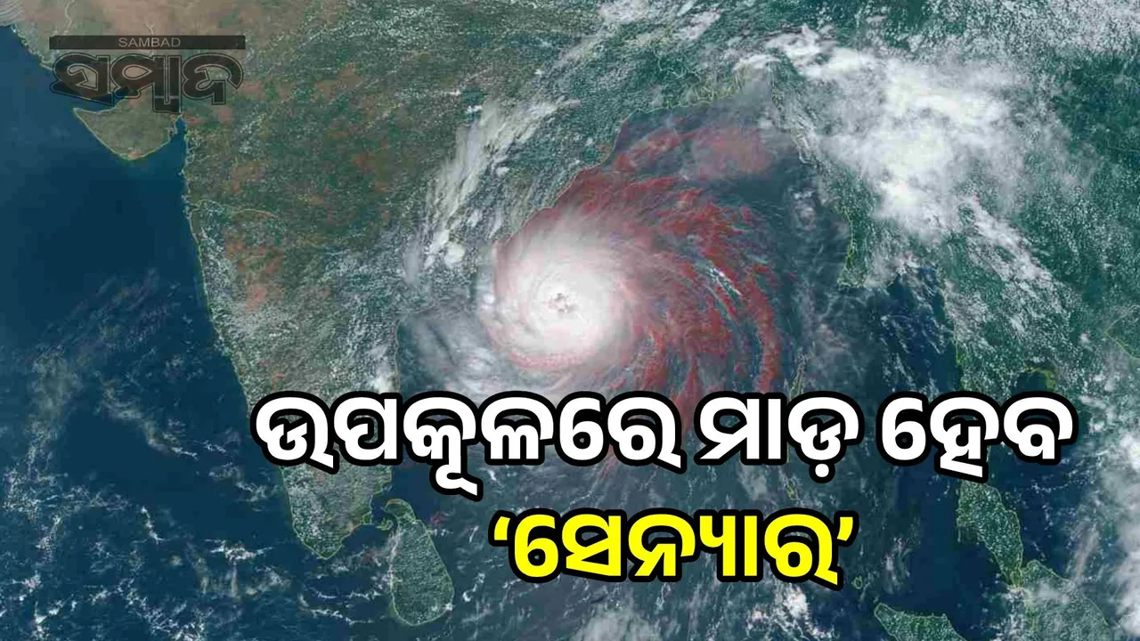  Cyclone 'Senyar' to hit coast: Heavy rain forecast in 6 states including Odisha Photograph: (sambad.in) 