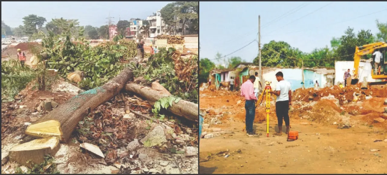  Tree sacrifice after uprooting: ଉଚ୍ଛେଦ ପରେ ବୃକ୍ଷ ବଳି: ଗଛ ସ୍ଥାନାନ୍ତର ନିୟମ କାର୍ଯ୍ୟକାରୀ କେବେ?