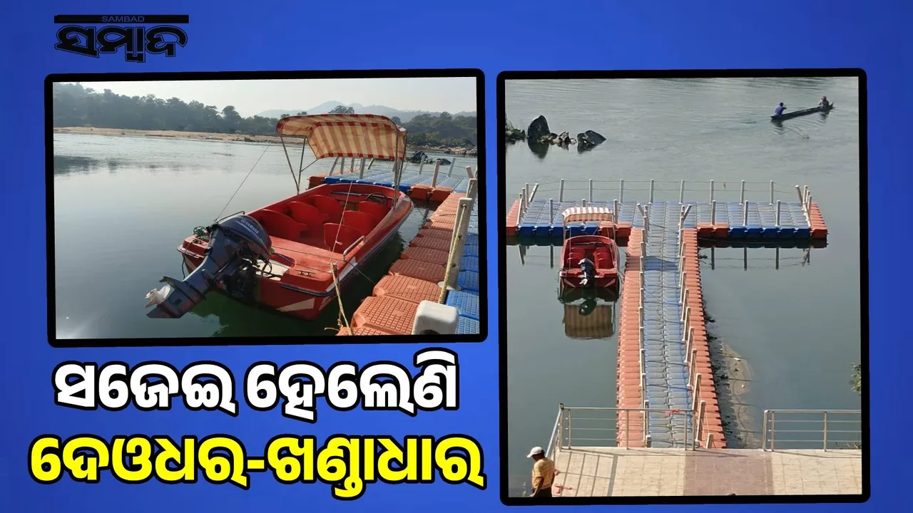  forest-fest season begun: Deodhar-Khandadhara are sitting in full bloom Photograph: (sambad.in) 