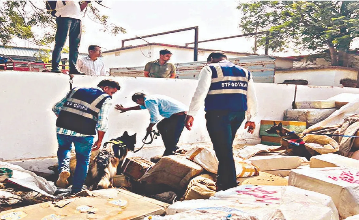  Railway station: ରେଳଷ୍ଟେସନ ଉପରେ ଏସ୍‌ଟିଏଫ୍‌ର ନଜର: ନିଶାକାରବାର ରୋକିବାକୁ ଚଢ଼ଉ
