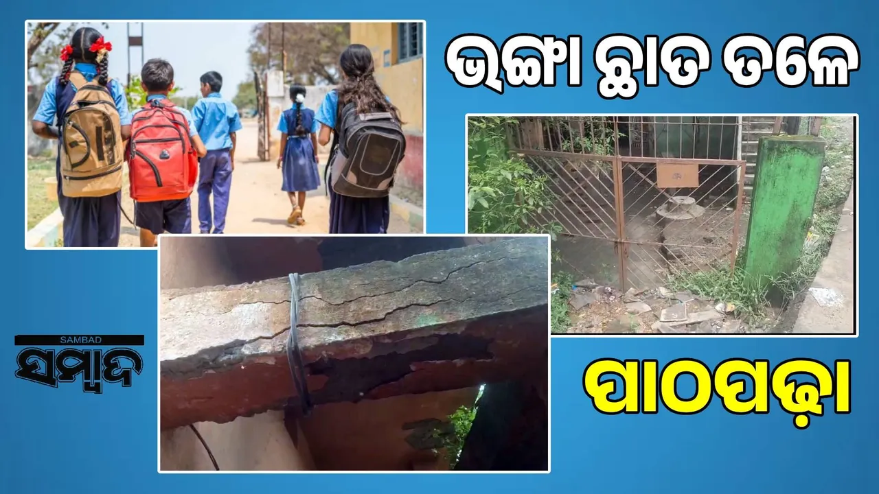  Lungei Government Primary School: Life is at risk for study Photograph: (sambad.in) 