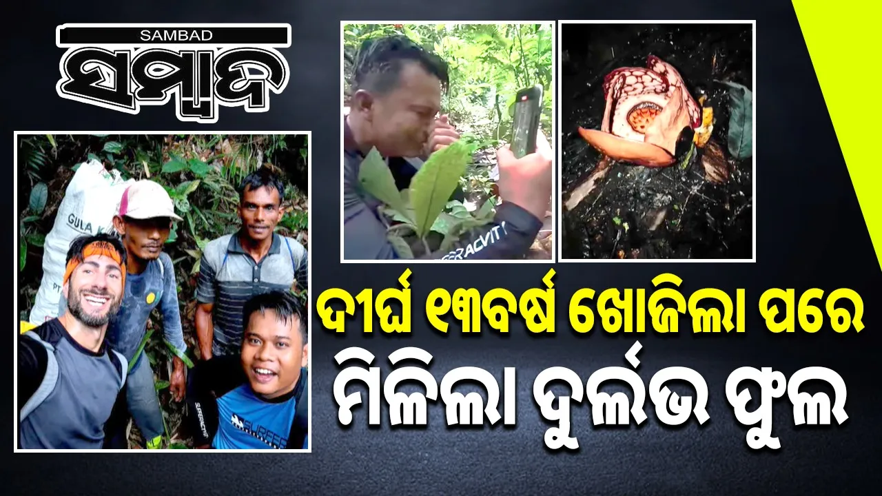  rare flower found in sumatra Photograph: (@sambad.in) 