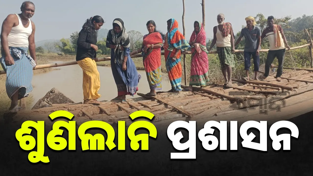  Villagers mad temporary bridge in G Udayagiri of Kandhamal district. Photograph: (sambad.in) 