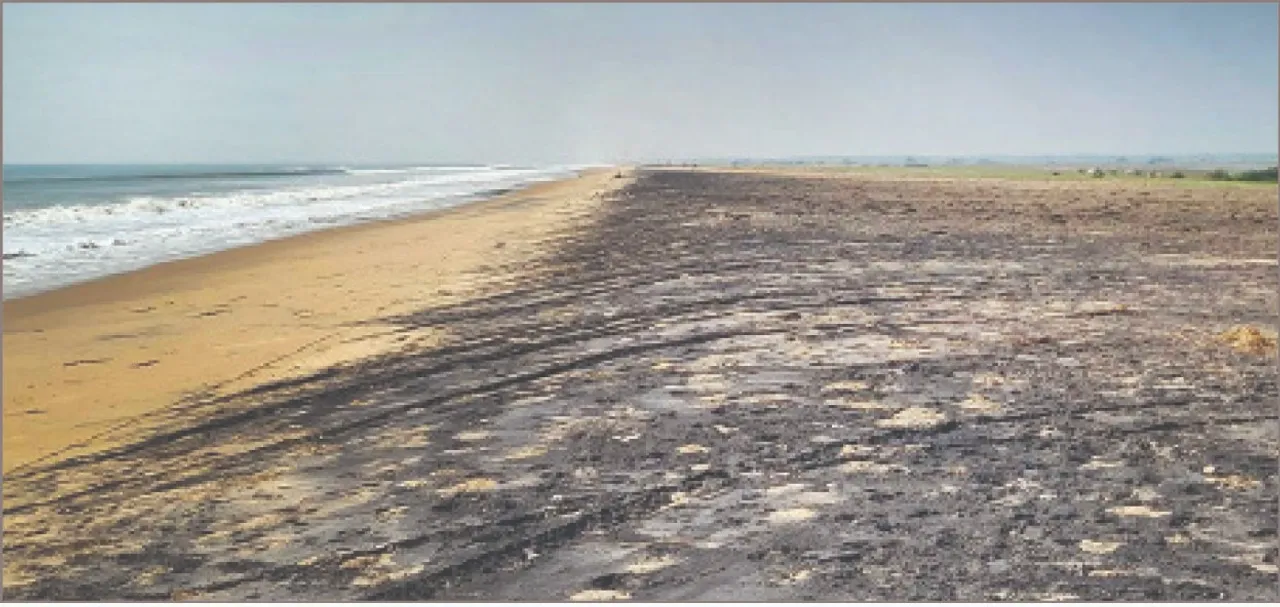  Private land under the sea: ସରକାରୀ ଖାତାକୁ ଫେରିବ ସମୁଦ୍ର ଭିତରେ ଥିବା ଘରୋଇ ଜମି