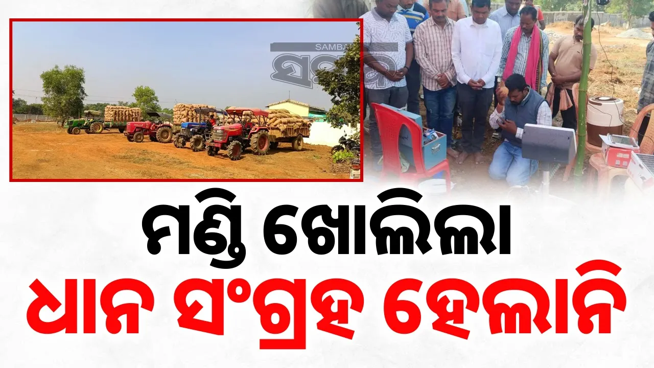  mandi opened, but no paddy collected at sambalpur & kuchinda Photograph: (sambad.in) 