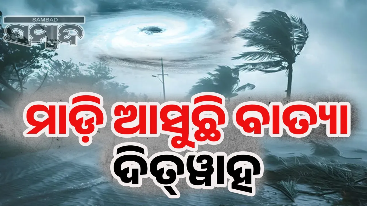  Cyclone Ditwah Photograph: (sambad.in) 