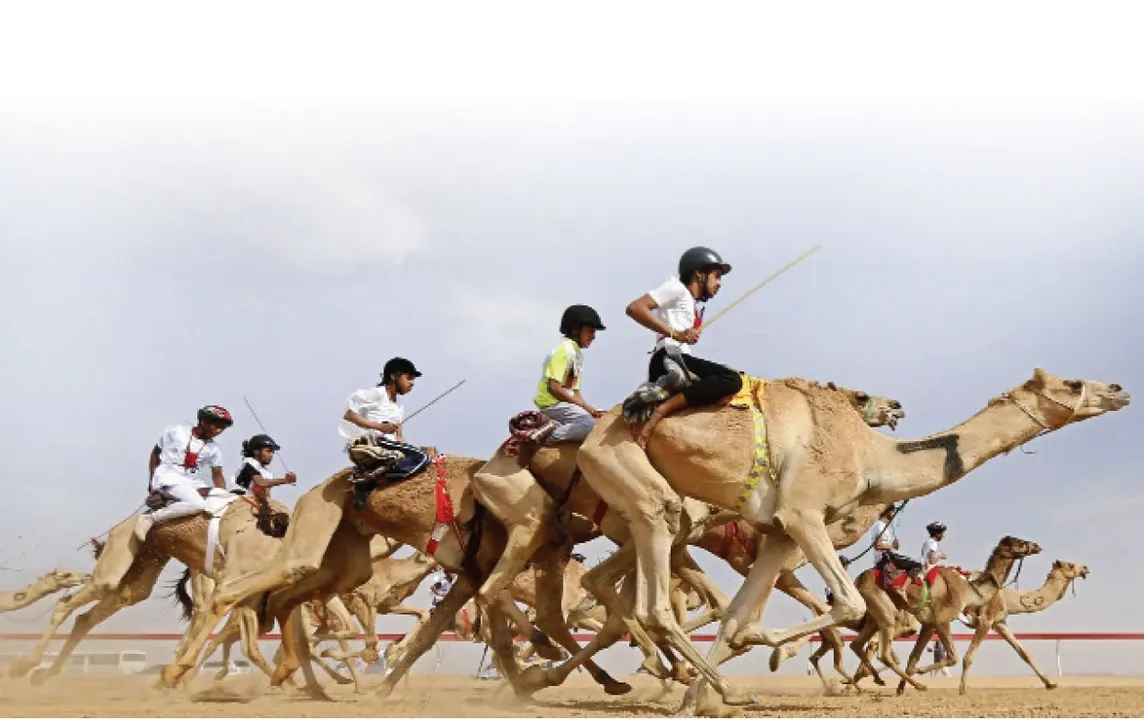  India in camel racing: ଓଟଦୌଡ଼ରେ ଭାରତ