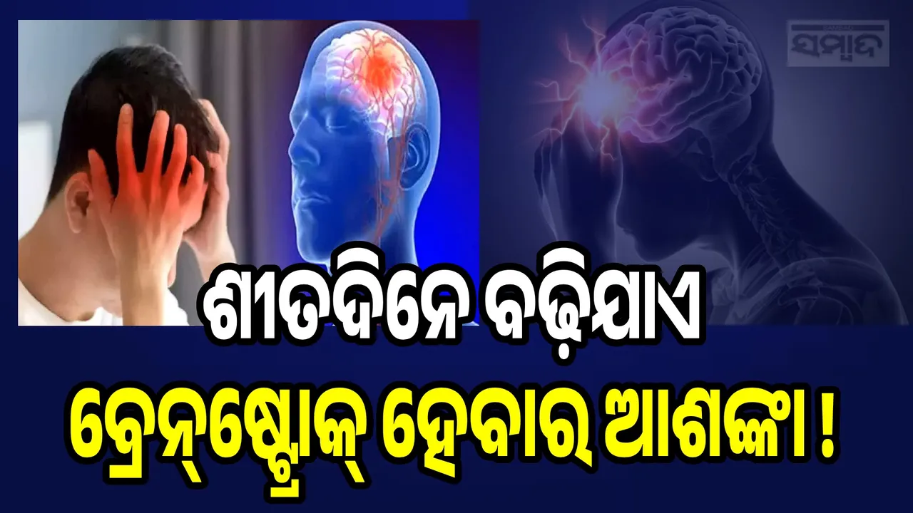  Winter Season Health Risks Photograph: (sambad.in) 