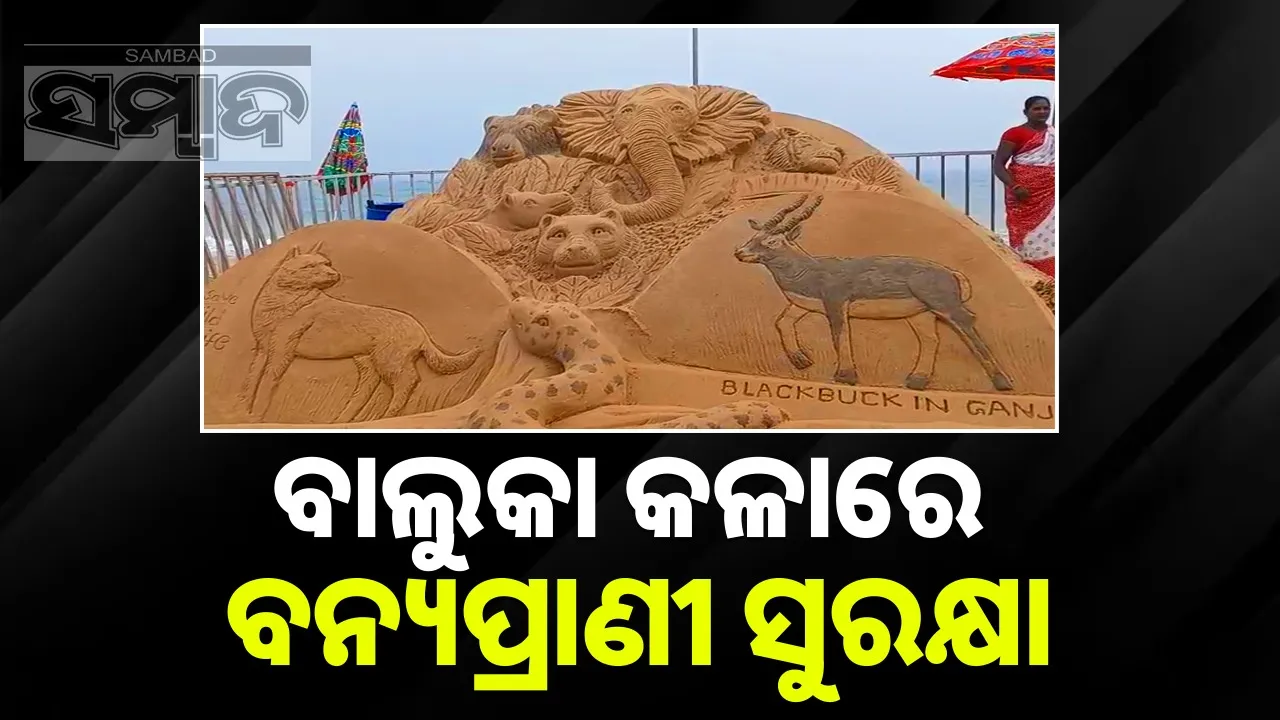  Konark Sand Art Festival Day2. Photograph: (sambad.in) 