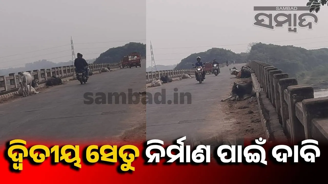  Baitarani bridge in Bhadrak district. Photograph: (sambad.in) 
