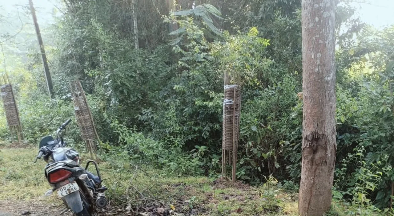  wounded dead body of young man rescued at daspalla Photograph: (sambad.in) 