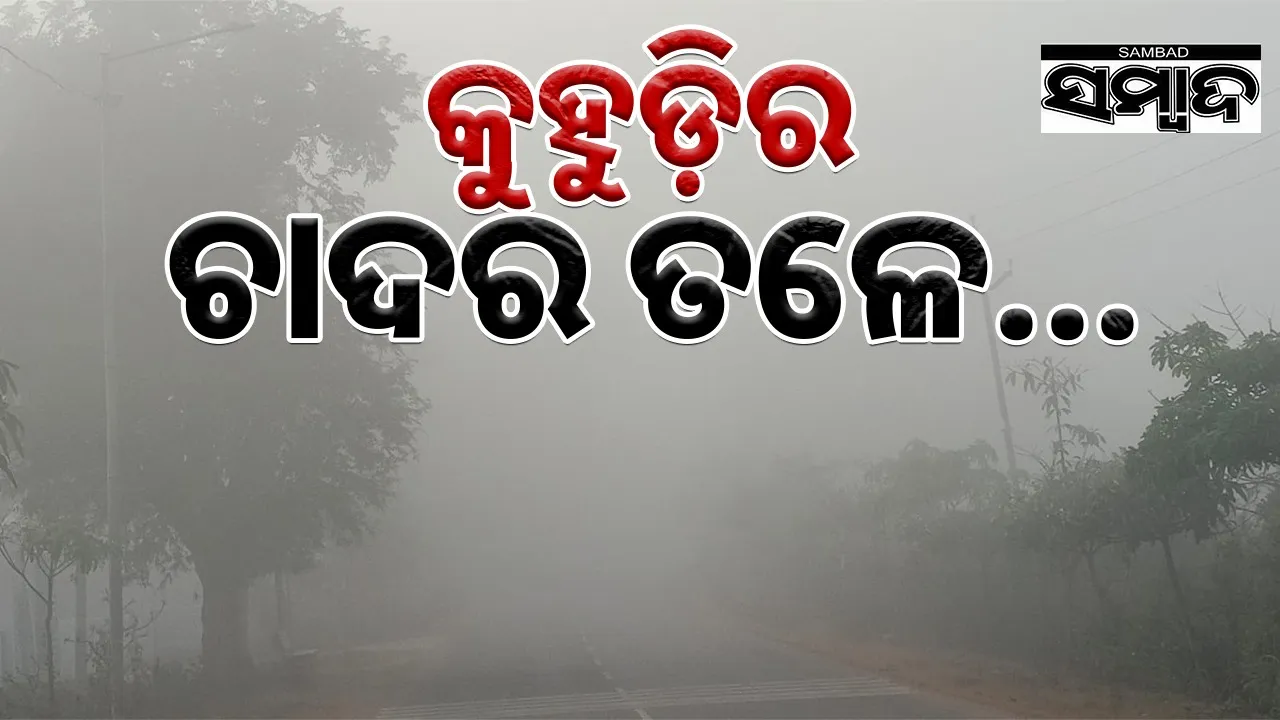  Fog in G Udayagiri Photograph: (sambad.in) 