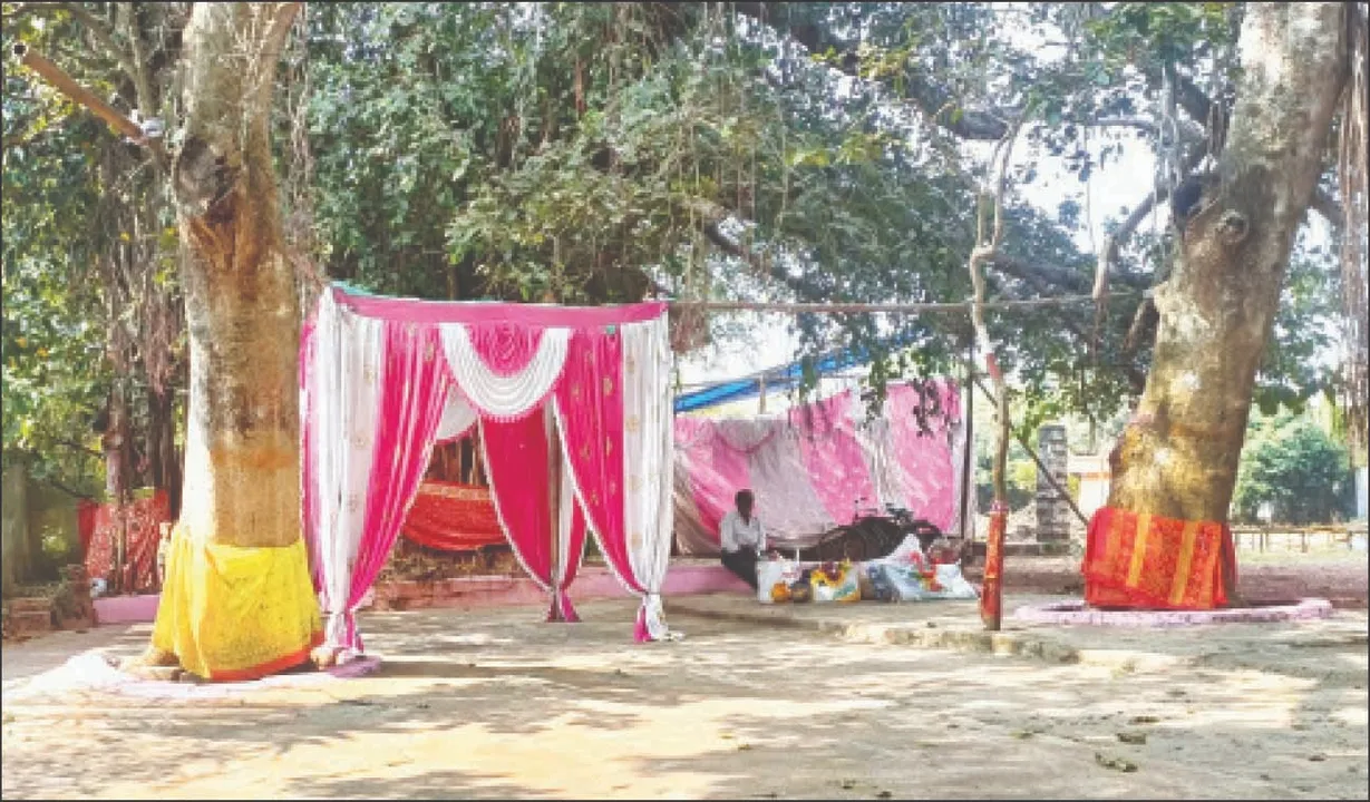  Marriage: ନାବାଳିକାଙ୍କୁ ବାହାବେଦିରୁ ନେଇ ଲୁଚାଇଦେଲେ