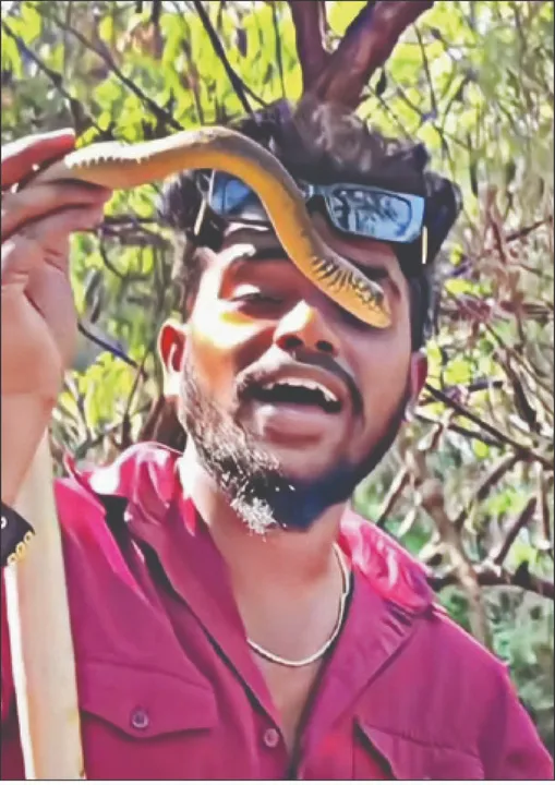  Snake: ବିଷଧର ସାପ ସହ ଖେଳ