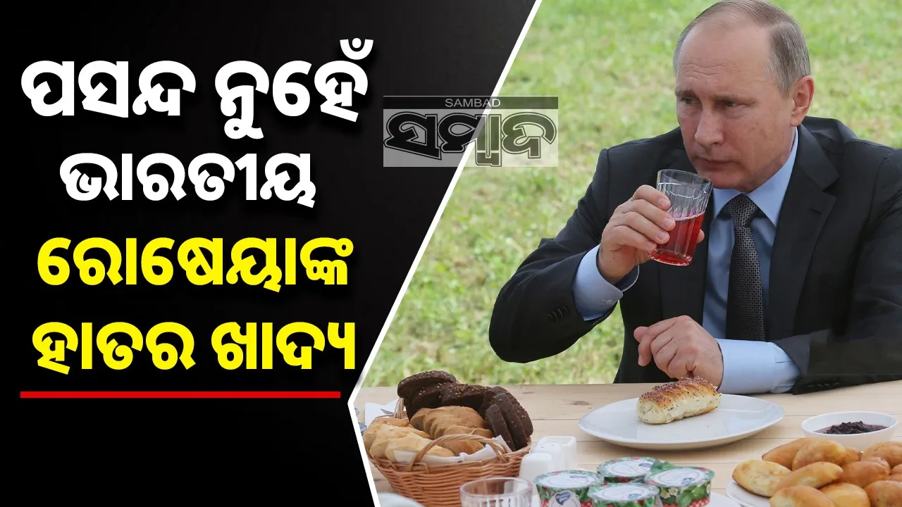  vladimir putin india visit Photograph: (@sambad.in) 