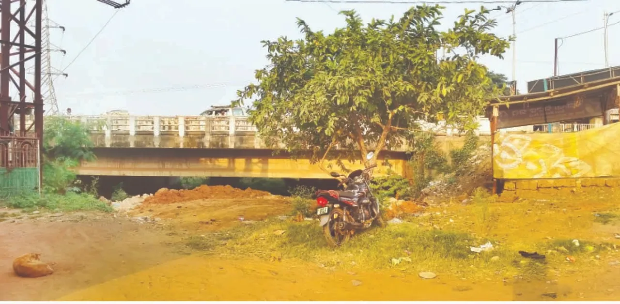  Gangua: ଗଙ୍ଗୁଆ କଡ଼େ କଡ଼େ ଜବରଦଖଲ