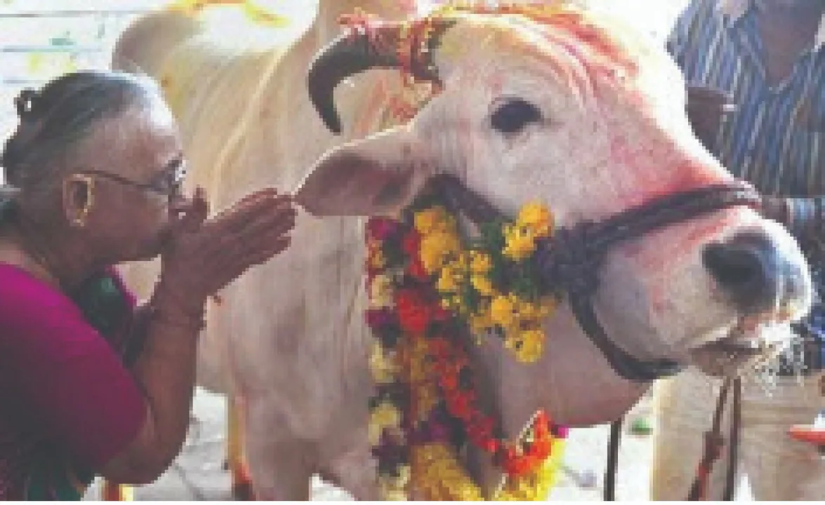  Subhashit: ସୁଭାଷିତ: ଗୋ-ହତ୍ୟା କଲେ ଜନ୍ମଜନ୍ମାନ୍ତରରେ ପାପଭୋଗ ହୁଏ