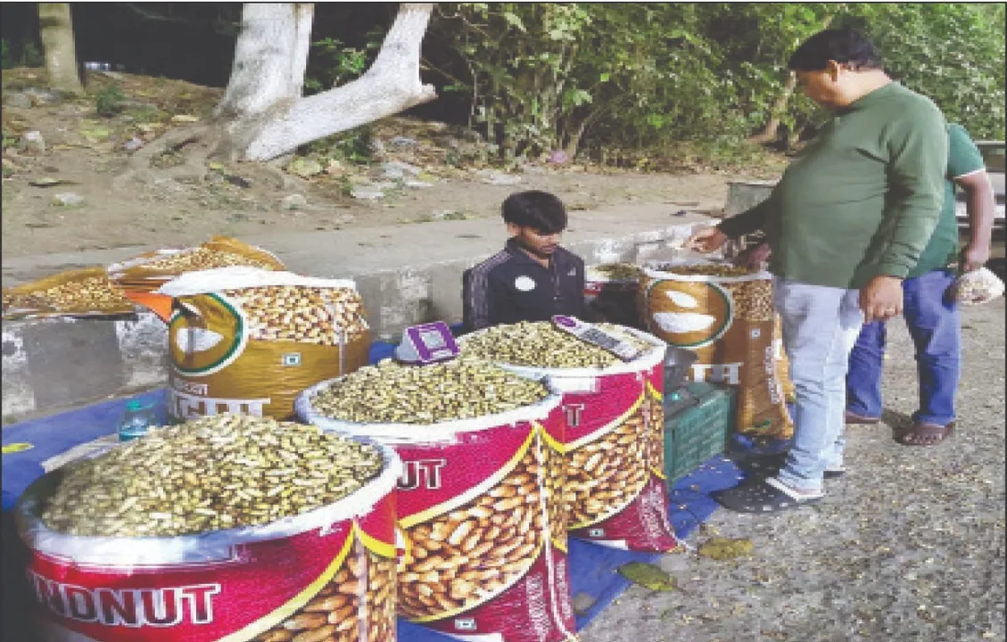  Rajasthani badam: ରାଜଧାନୀରେ ରାଜସ୍ଥାନୀ ଚିନାବାଦାମର ପସରା
