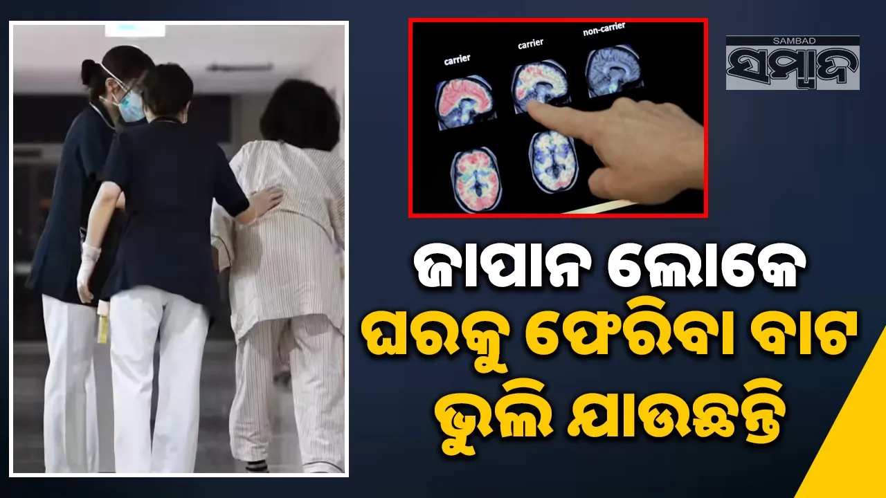  Japanese people are forgetting their way home Photograph: (sambad.in) 