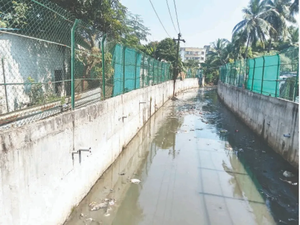  Natural drain: ୧୦ ନମ୍ବର ପ୍ରାକୃତିକ ନାଳ, ଛାଡ଼ୁଛନ୍ତି ଶୌଚାଳୟ ବର୍ଜ୍ୟ