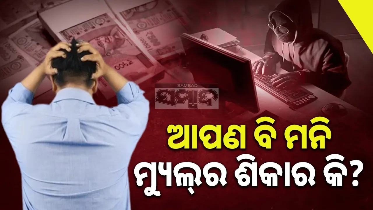  Know about Mule Account: ଆପଣ ବି ମନି ମ୍ୟୁଲ୍‌ର ଶିକାର କି?