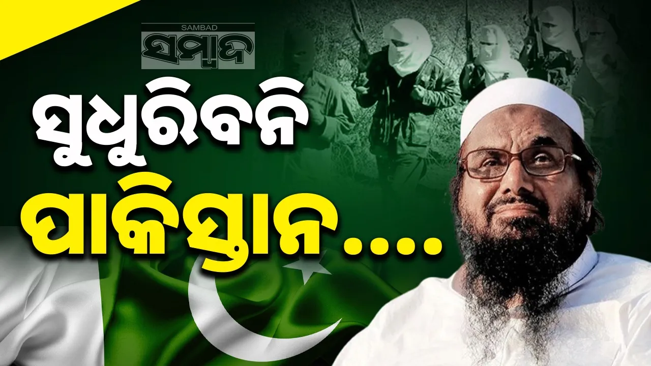  Photograph: (google) 