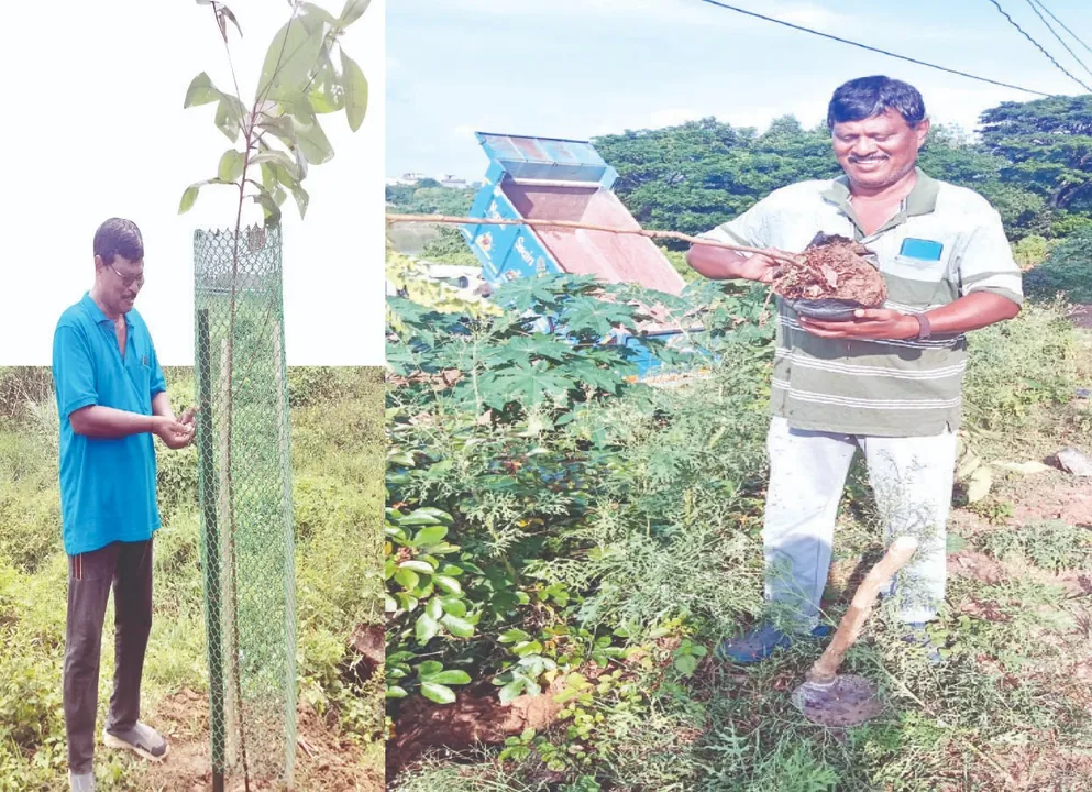  Environmental warrior: ପରିବେଶ ଯୋଦ୍ଧା: ବୃକ୍ଷରୋପଣକୁ ବ୍ରତ କରିଛନ୍ତି ଲକ୍ଷ୍ମୀଧର