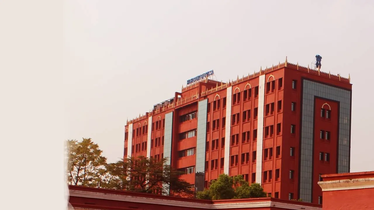  odisha high court Photograph: (sambad.in) 