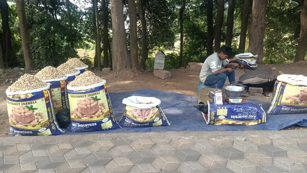  groundnut of rajasthan at rourkela Photograph: (sambad.in) 