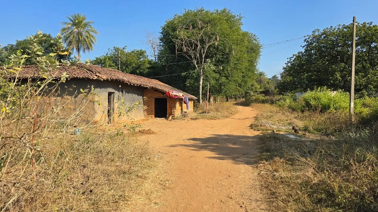  Amamuda village of Laikera in Jharsuguda district. Photo: sambad.in 