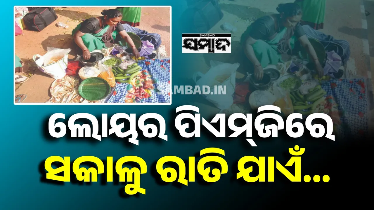  Lower PMG: ଲୋୟର  ପିଏମ୍‌ଜି ସକାଳୁ ରାତି ଯାଏଁ...