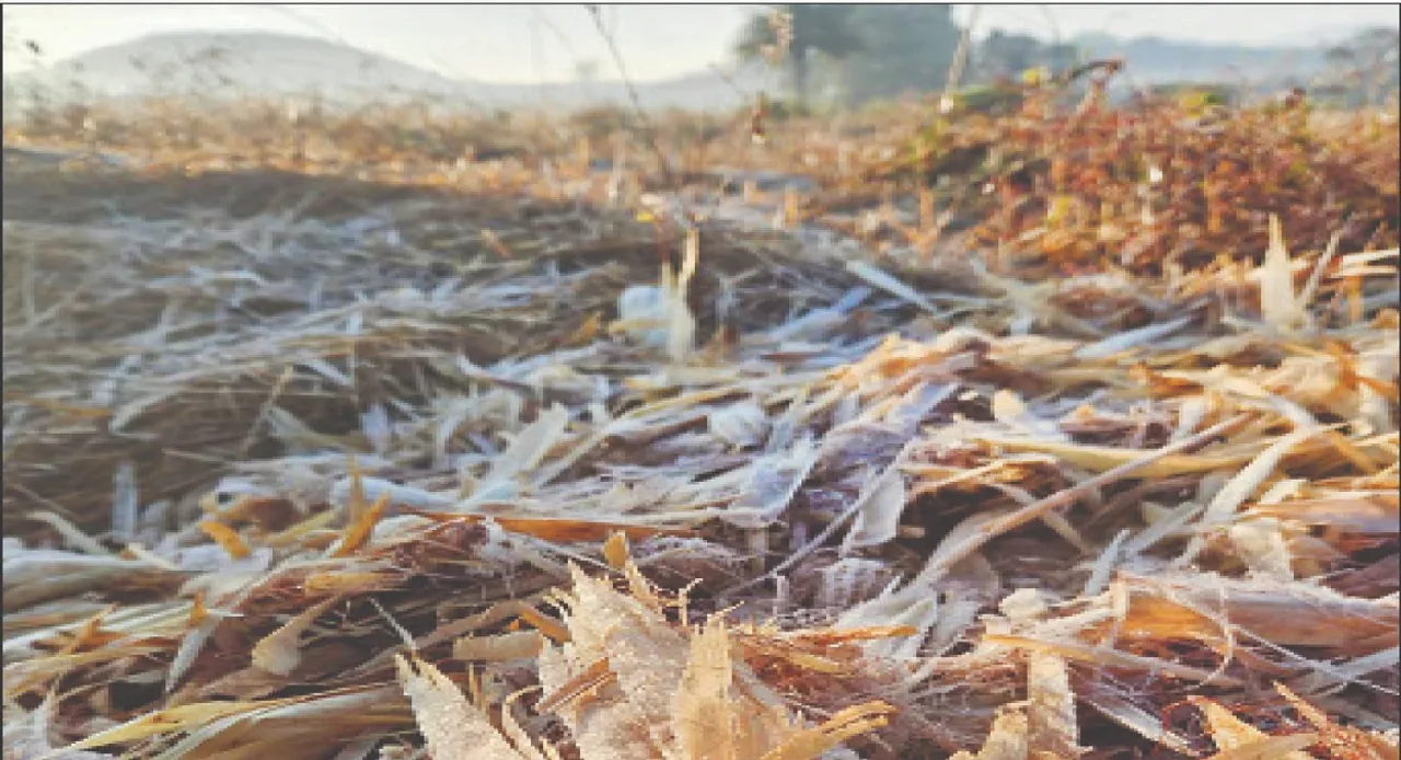  Koraput: ଜାଡ଼ରେ ଥରୁଛି କୋରାପୁଟ: ରାଜୁଗୁଡ଼ାରେ ତୁଷାରପାତ, ୫ଂ ତଳକୁ ଖସିଲା ପାରଦ