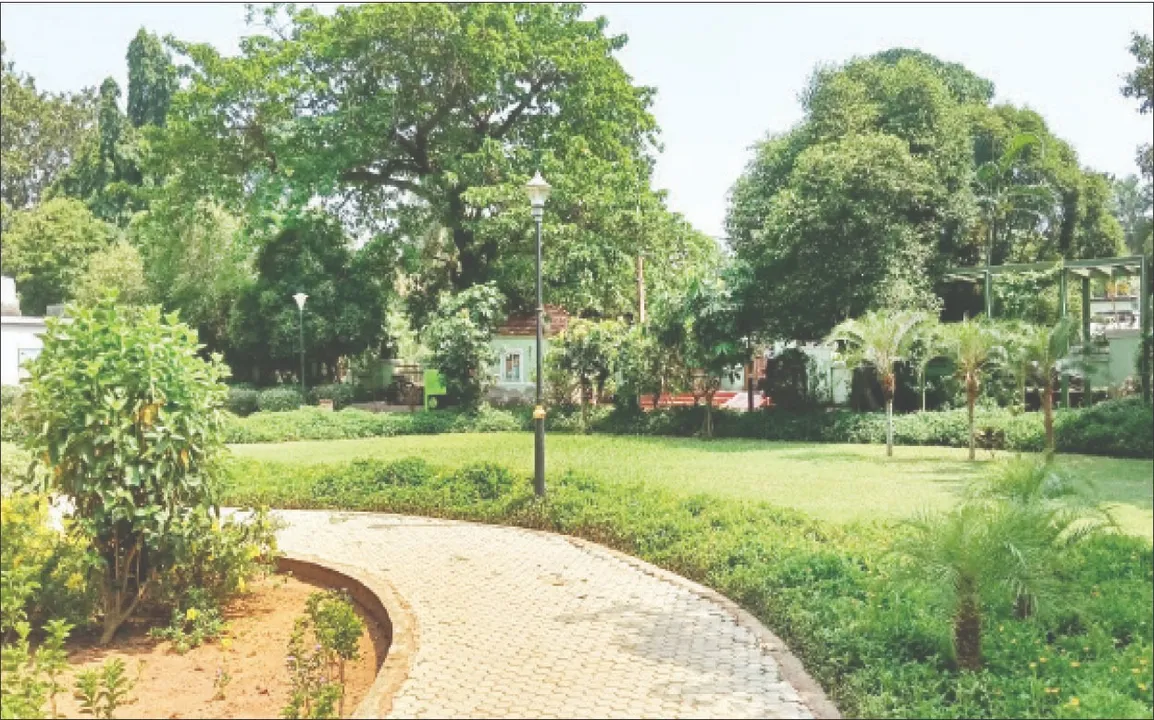  Park will be open all day: ଶନି, ରବିବାର ସାରାଦିନ ଖୋଲାରହିବ ପାର୍କ: ଆଇଜି ପାର୍କ ପ୍ରତିଦିନ ସକାଳ ୫ରୁ ରାତି ସାଢ଼େ ୮ ପର୍ଯ୍ୟନ୍ତ ଖୋଲା